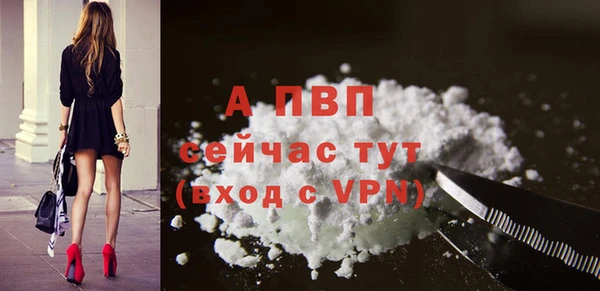 эйфоретик Каменногорск