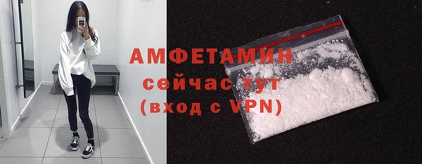 винт Каменка