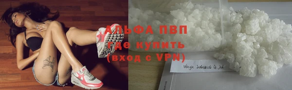 винт Каменка