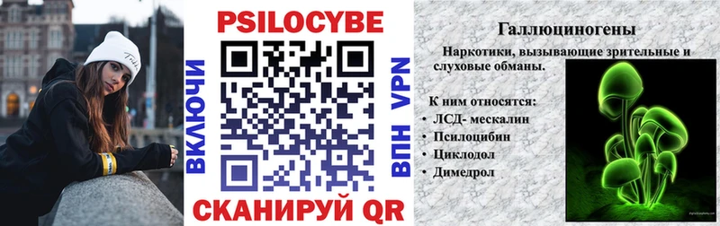 Галлюциногенные грибы Psilocybe  omg ССЫЛКА  Самара 
