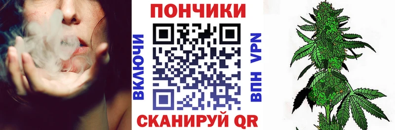 Бошки Шишки THC 21%  Самара 